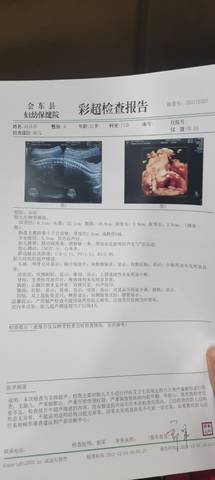 journal_insert_pic_1686484370
