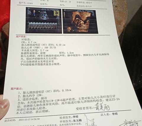 journal_insert_pic_1682378738