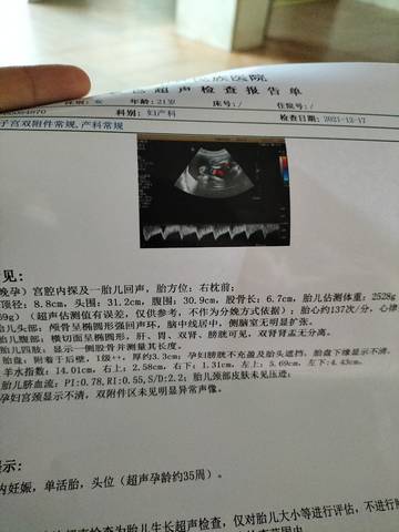 journal_insert_pic_1681585337