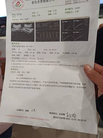 journal_insert_pic_1688023265