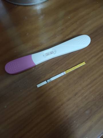 journal_insert_pic_1676680769