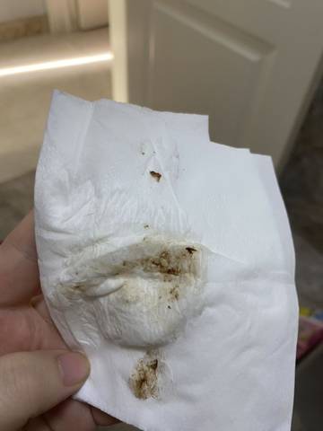 journal_insert_pic_1684126392