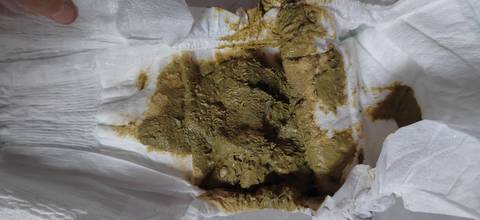 journal_insert_pic_1688387494