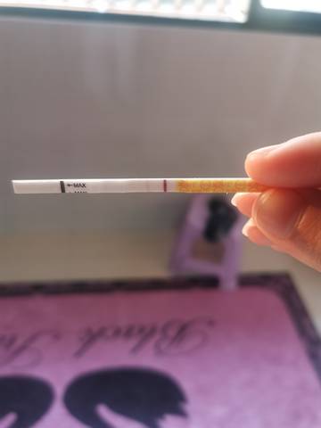 journal_insert_pic_1688929708