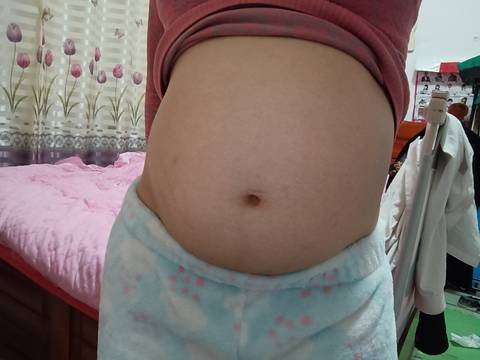 journal_insert_pic_1681675657