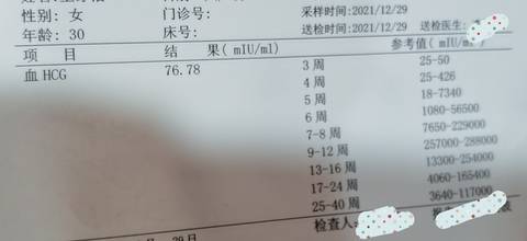 journal_insert_pic_1688363609