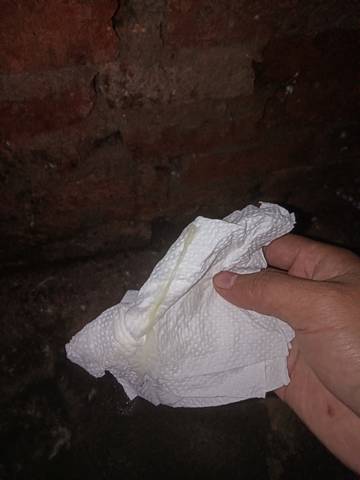 journal_insert_pic_1684890192