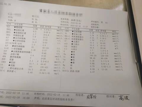 journal_insert_pic_1720036144