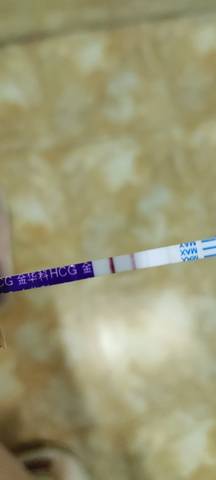 journal_insert_pic_1675684398