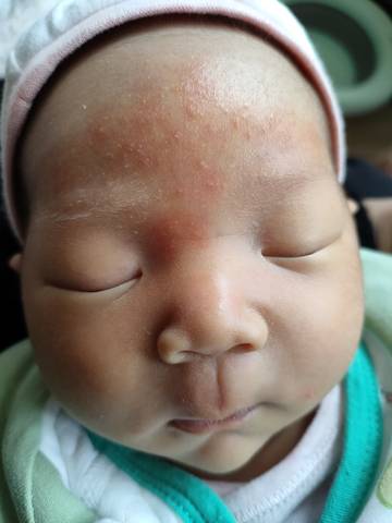 journal_insert_pic_1740840010