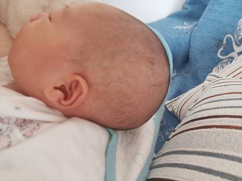 journal_insert_pic_1690040908