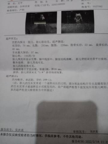 journal_insert_pic_1719859399