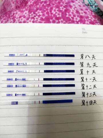 journal_insert_pic_1673306962