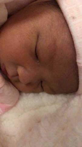 journal_insert_pic_1682520441