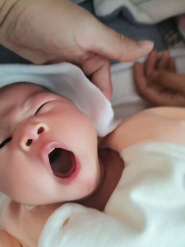 journal_insert_pic_1687217830