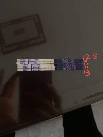 journal_insert_pic_1679217284