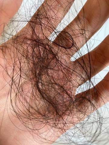 journal_insert_pic_1675607291