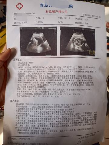 journal_insert_pic_1683047717