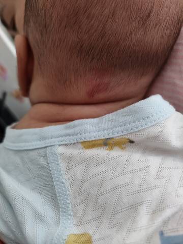 journal_insert_pic_1684302549