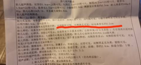 journal_insert_pic_1677188572