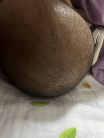 journal_insert_pic_1741170705