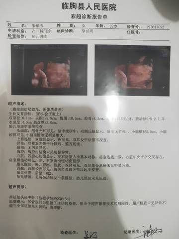 journal_insert_pic_1679259498