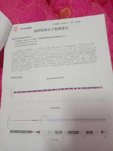 journal_insert_pic_1685106183