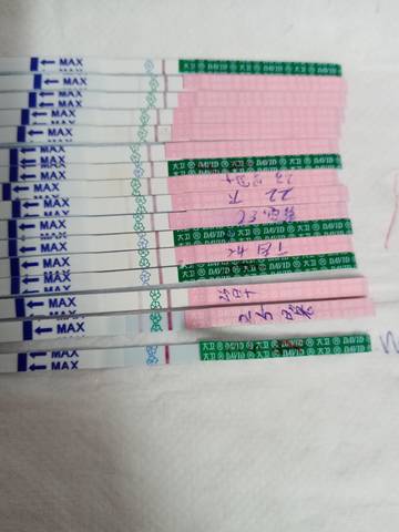 journal_insert_pic_1686117488