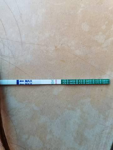 journal_insert_pic_1688378939