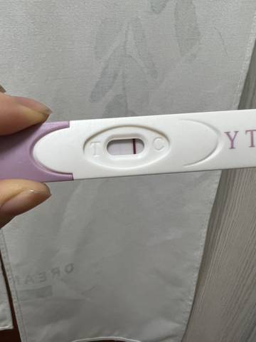 journal_insert_pic_1719905714