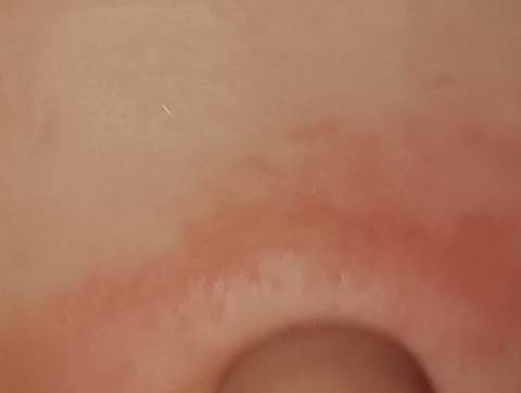 journal_insert_pic_1681622378