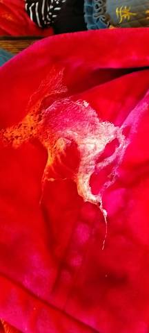 journal_insert_pic_1682502531