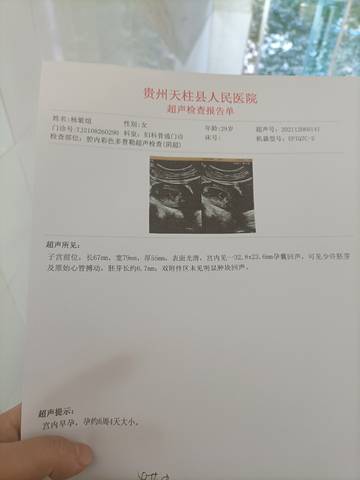 journal_insert_pic_1681541104