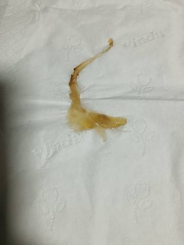 journal_insert_pic_1719690866