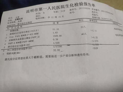 journal_insert_pic_1684799512