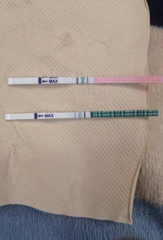 journal_insert_pic_1685727814