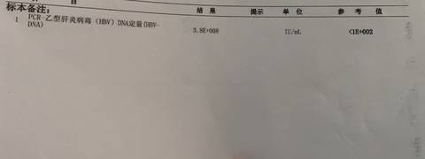 journal_insert_pic_1681916089