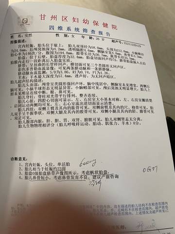 journal_insert_pic_1688930612