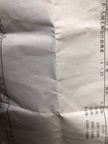 journal_insert_pic_1681011602