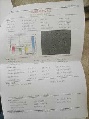 journal_insert_pic_1682813494