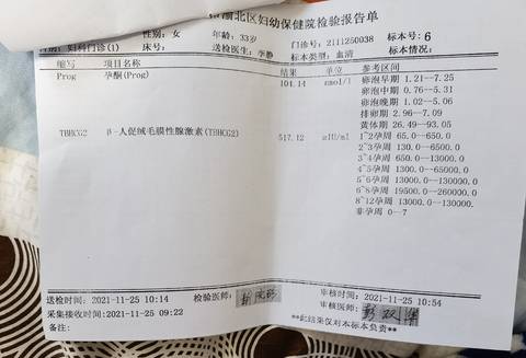 journal_insert_pic_1673998742