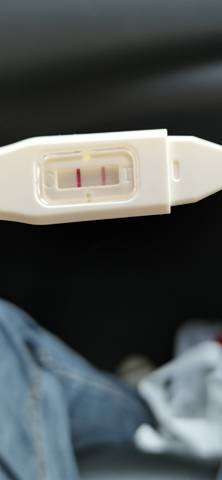 journal_insert_pic_1679208044