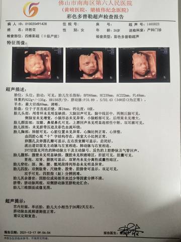 journal_insert_pic_1681576255