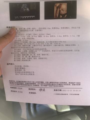 journal_insert_pic_1683543625