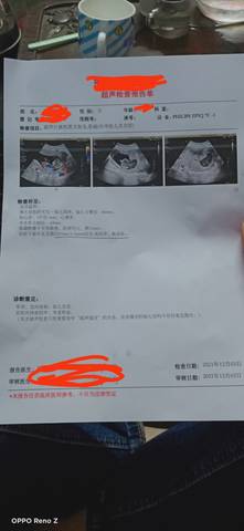 journal_insert_pic_1673396470