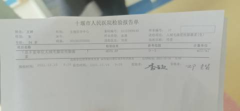 journal_insert_pic_1682397081