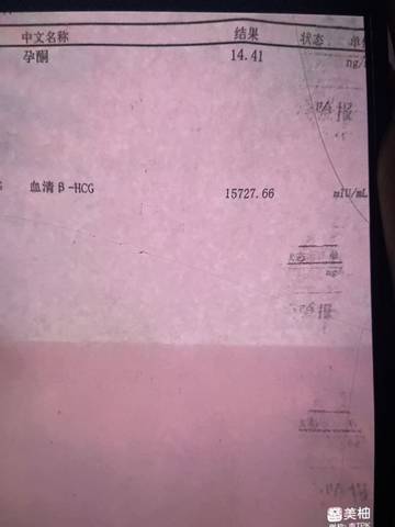 journal_insert_pic_1681582207