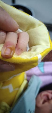 journal_insert_pic_1719801427