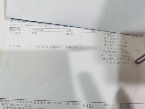 journal_insert_pic_1674139357