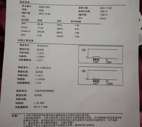 journal_insert_pic_1685596565